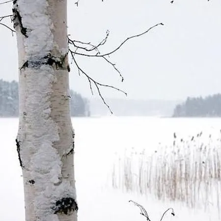 Kopinkallio 1 By Interhome * Vääksy