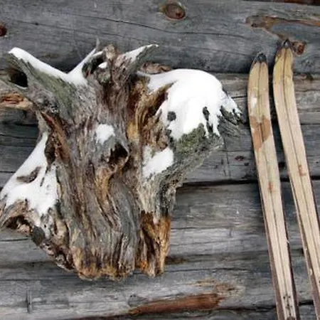 Kopinkallio 1 By Interhome Loma-asunnot Vääksy