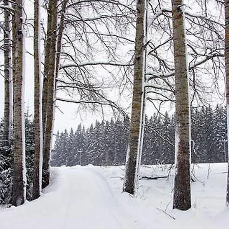 Kopinkallio 1 By Interhome Vääksy