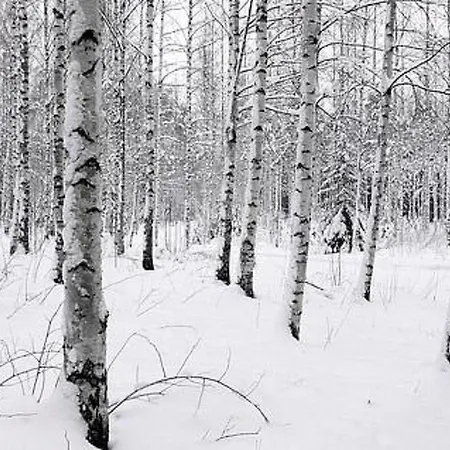 Kopinkallio 1 By Interhome Loma-asunnot *