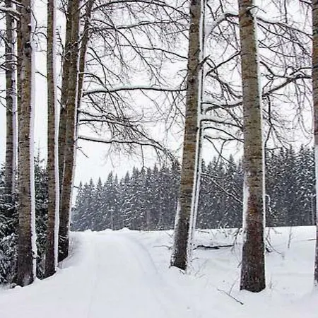 Kopinkallio 1 By Interhome