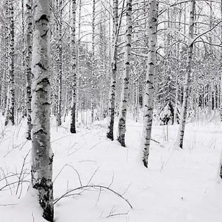 Kopinkallio 1 By Interhome