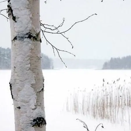 Kopinkallio 1 By Interhome * Vääksy